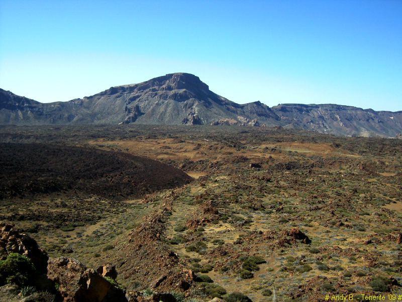 Découverte de Tenerife (21).JPG